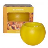Vela Aromatizada Maracujá Anti Stress 30horas Secret Moments