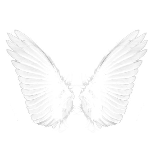 Asa de Anjo